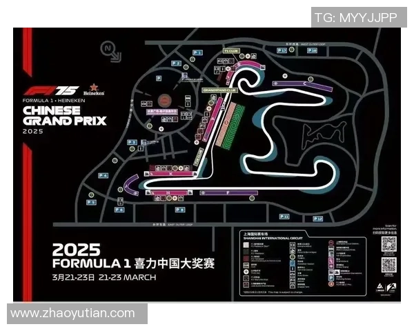 F1车手心理素质对赛场竞技状态与比赛表现影响的实证研究 F1车手心理素质对赛场竞技状态与比赛表现影响的实证研究